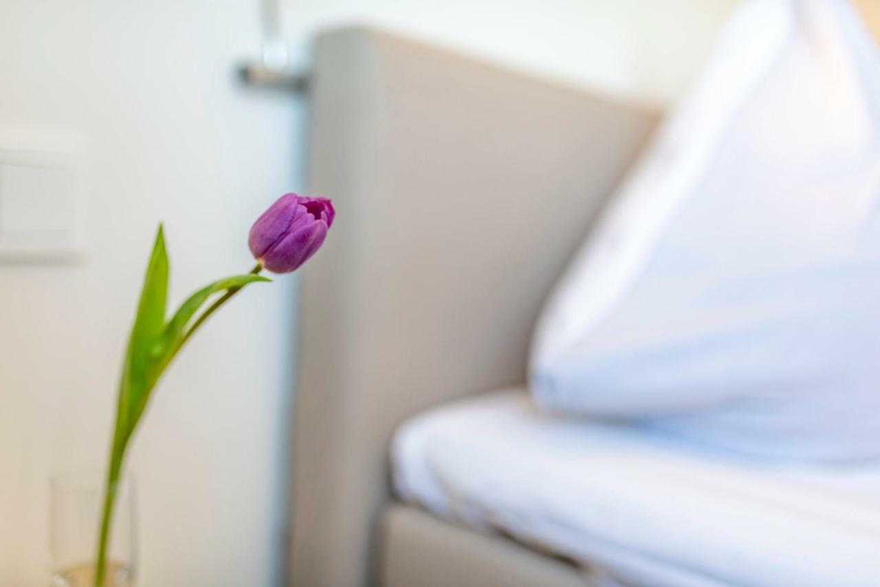Treibgut Apartment Olpenitz Bagian luar foto